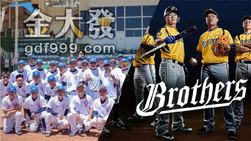 快來台中洲際棒球場支持中信兄弟與中華隊吧！