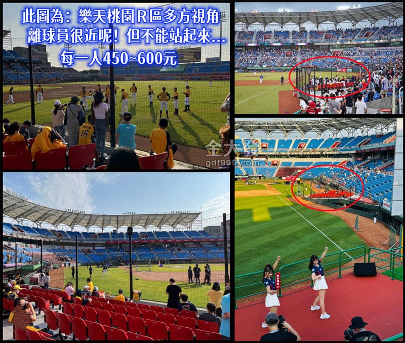 樂天桃園棒球場座位推薦|看球賽、啦啦隊、吃烤肉你選哪一個? 3 桃園棒球場R區視野