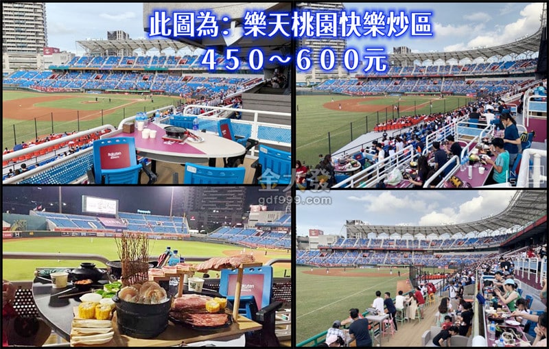 樂天桃園棒球場座位推薦|看球賽、啦啦隊、吃烤肉你選哪一個? 5 快樂炒區座位視野