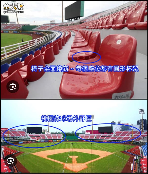 樂天桃園棒球場座位推薦|看球賽、啦啦隊、吃烤肉你選哪一個? 12 桃園棒球場外野座位