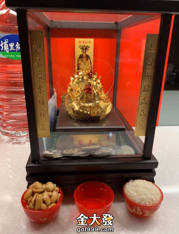 紫南宮金雞怎麼養：花生/熟水/生米