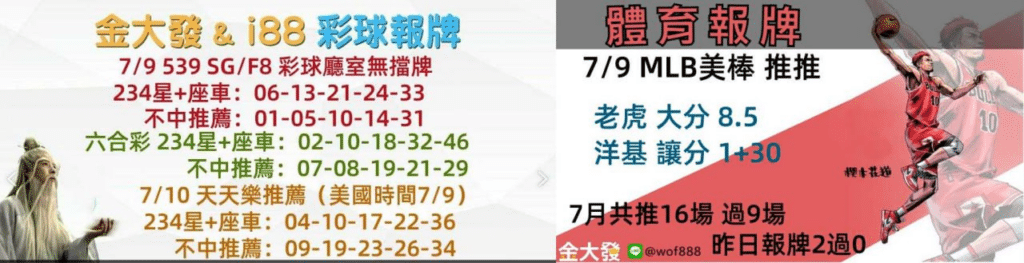 539獨支報牌、玩運彩-2024年7月勝率表-金大發娛樂城 38 彩球報牌&運彩報牌