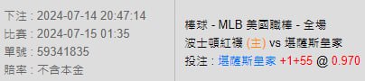 539獨支報牌、玩運彩-2024年7月勝率表-金大發娛樂城 29 運彩分析